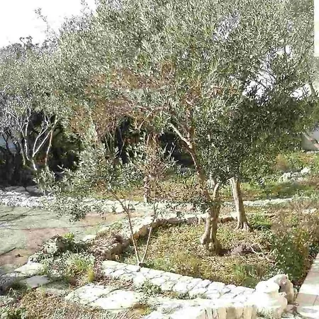 With Parking Space - 12609 דירה קרס